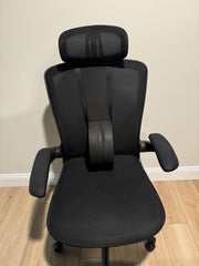 Ergo Chair Support Device